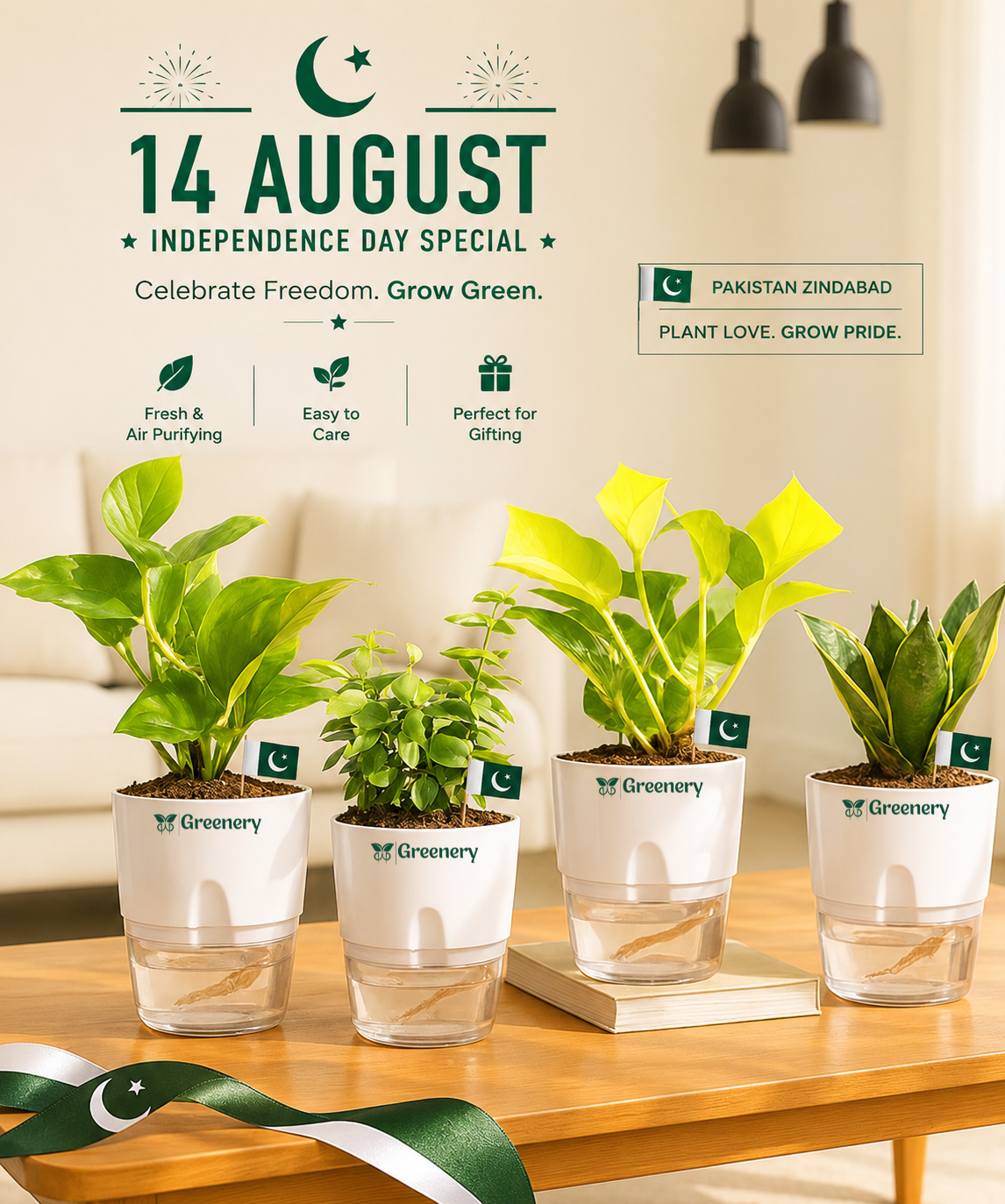 14 August Independence Day Special | Self-Watering Indoor Plant Gift