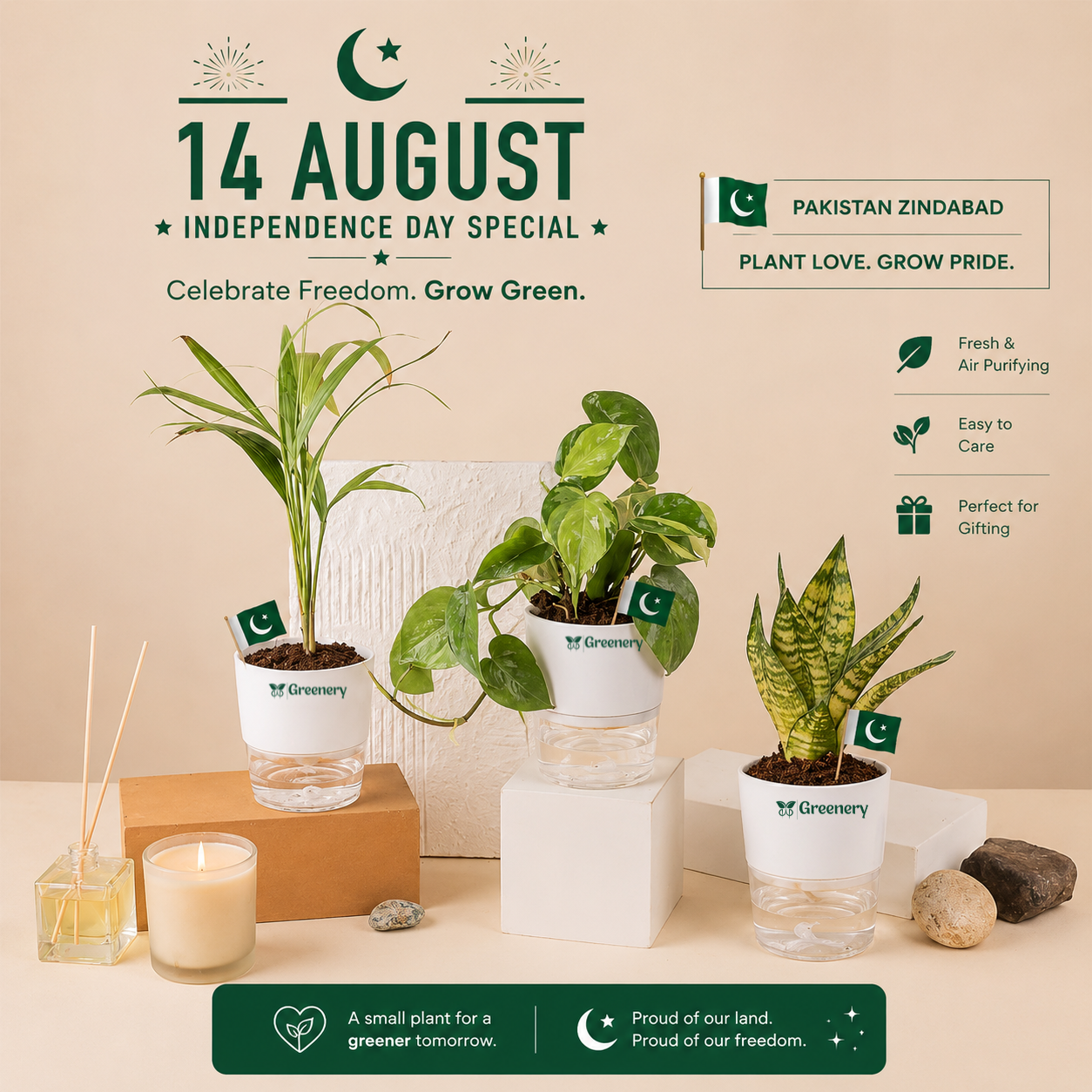 14 August Independence Day Special | Self-Watering Indoor Plant Gift