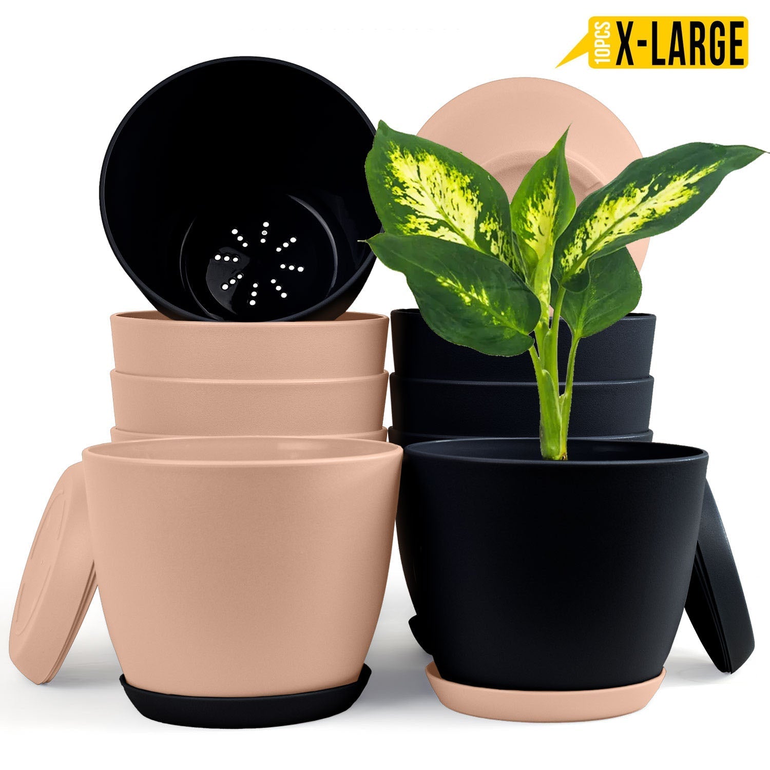 Fast Forward Extra Large Plant Pots with Drainage: Two Vibrant Colors, Ideal for Indoor Planters - Explore Multi-Packs for Plastic Planters, Cactus, and Succulents Pot Deco Fast Forward
