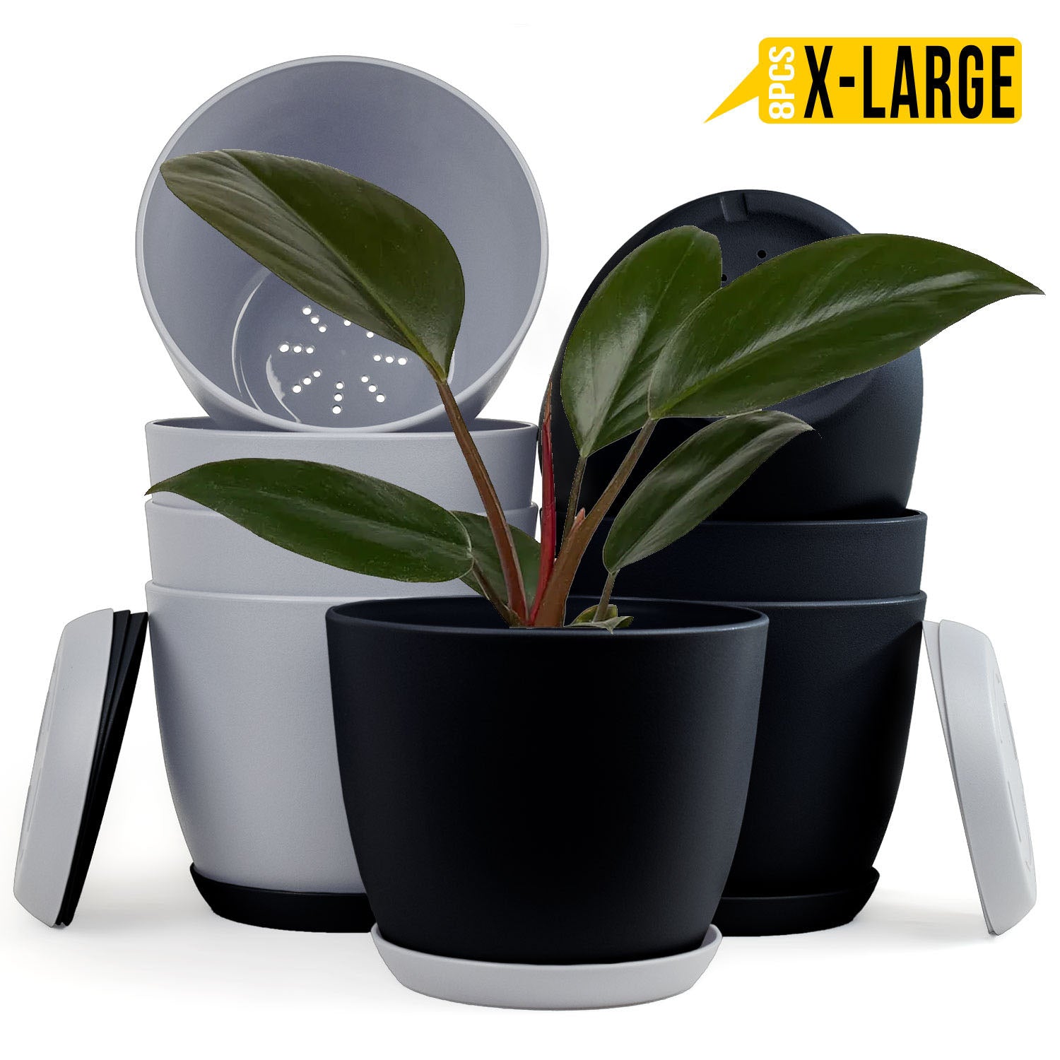Fast Forward Extra Large Plant Pots with Drainage: Two Vibrant Colors, Ideal for Indoor Planters - Explore Multi-Packs for Plastic Planters, Cactus, and Succulents Pot Deco Fast Forward