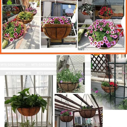 Iron Hanging Basket with Chain & Coco Liner for Balcony, Garden & Home Decoration | Wall Hanging Planter Pot Holder | Indoor Outdoor Plant Hanger | Garden Decor Flower Basket