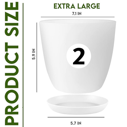 Fast Forward Extra Large Plant Pots with Drainage: Two Vibrant Colors, Ideal for Indoor Planters - Explore Multi-Packs for Plastic Planters, Cactus, and Succulents Pot Deco Fast Forward