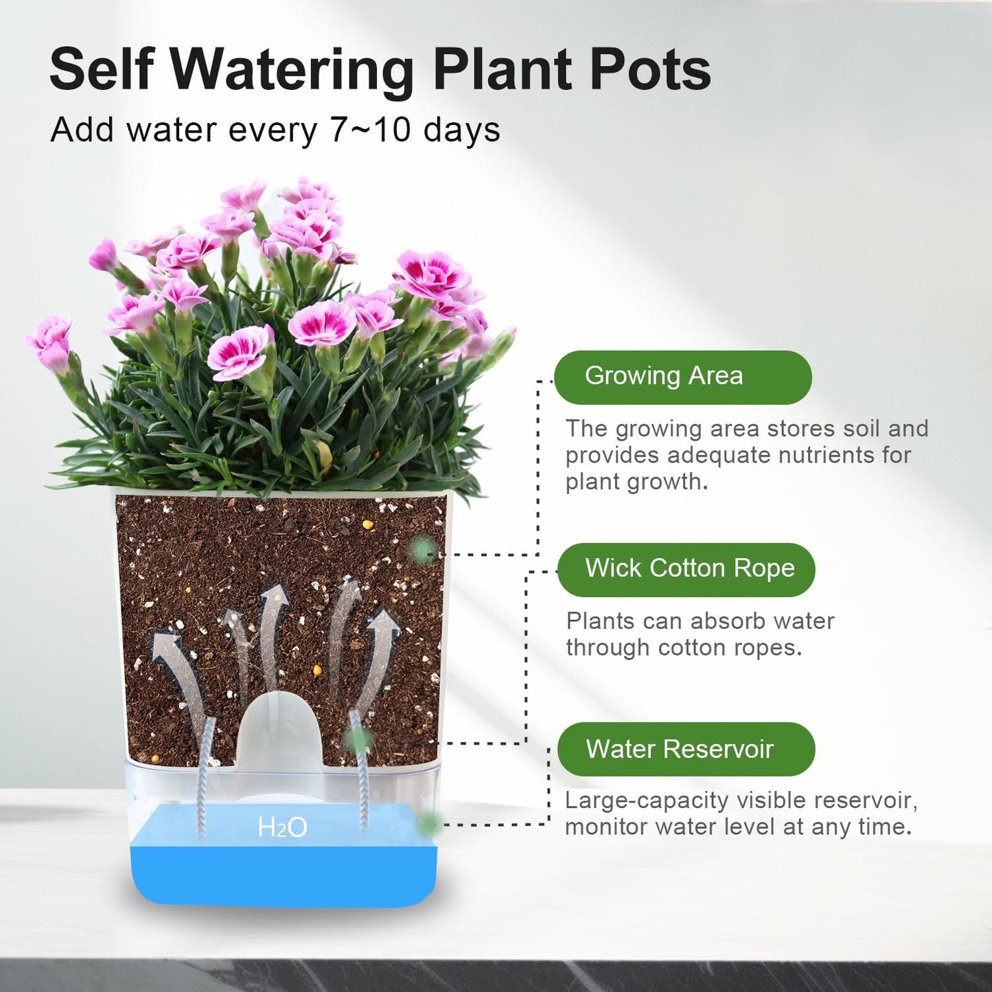 Set of 2 Self Watering Square Pots (Without Plant) | Home Decor, Living Room, Table Top