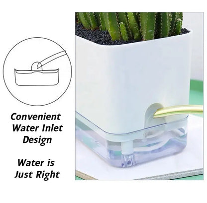 Set of 2 Self Watering Square Pots (Without Plant) | Home Decor, Living Room, Table Top