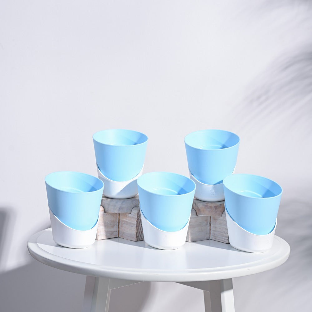 Set of 5 Atlantis Self Watering Pot (Without Plant)